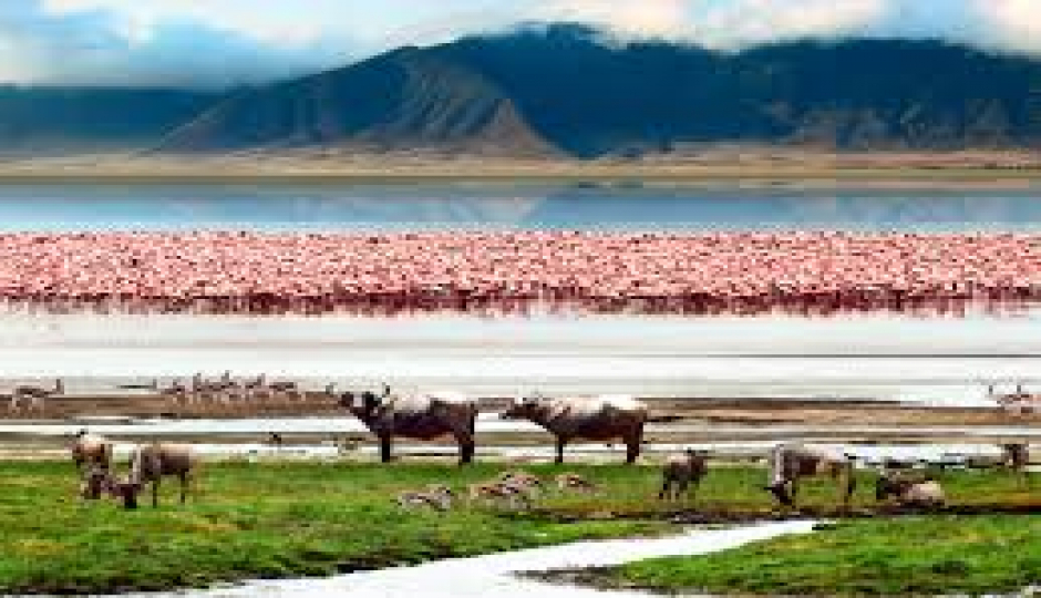 Slides Images for 2 Day Safari To Ngorongoro