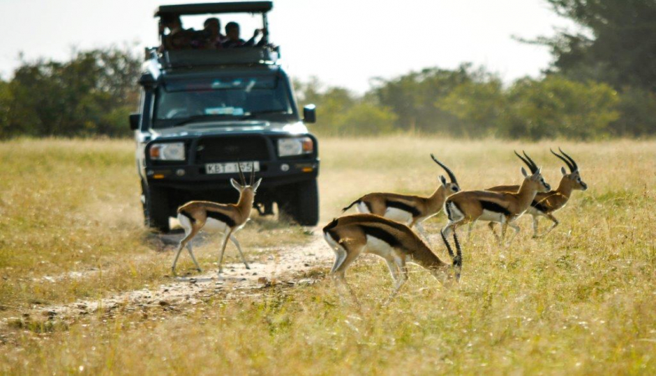 Slides Images for 3 Days Tanzania Private Safari