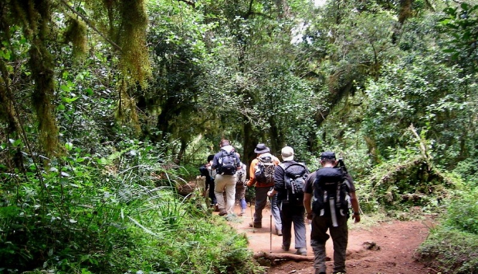 6 Days Kilimanjaro Climb Via Umbwe Route