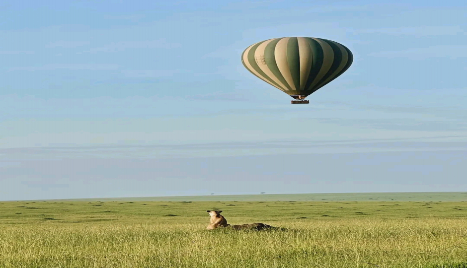 Slides Images for Days Luxury Tanzania Safari.