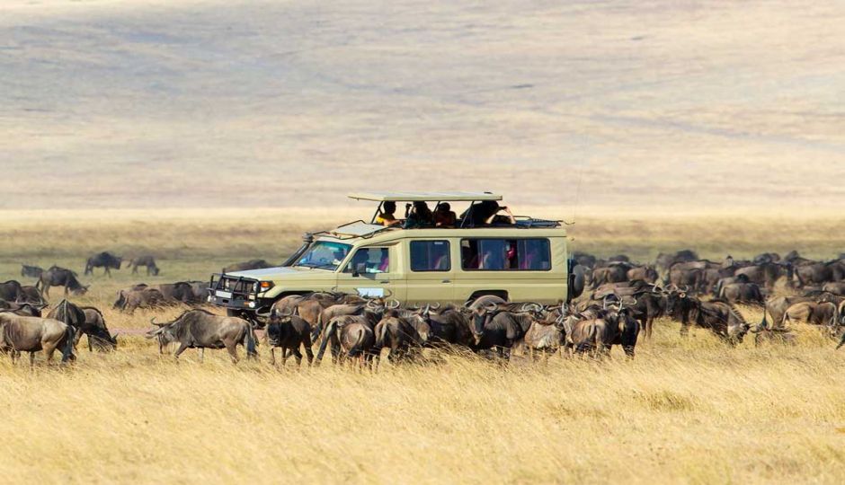 5 Days Tanzania Wildlife Safari