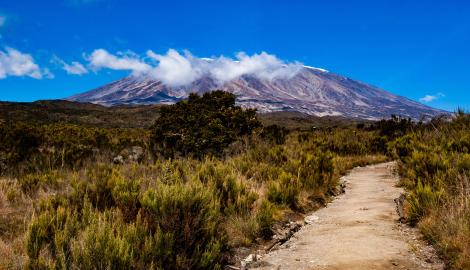 Cover Image - Perfect Hikers Expedition