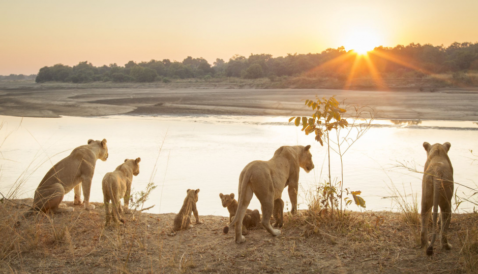 Cover Image - Bigmac Africa Safaris