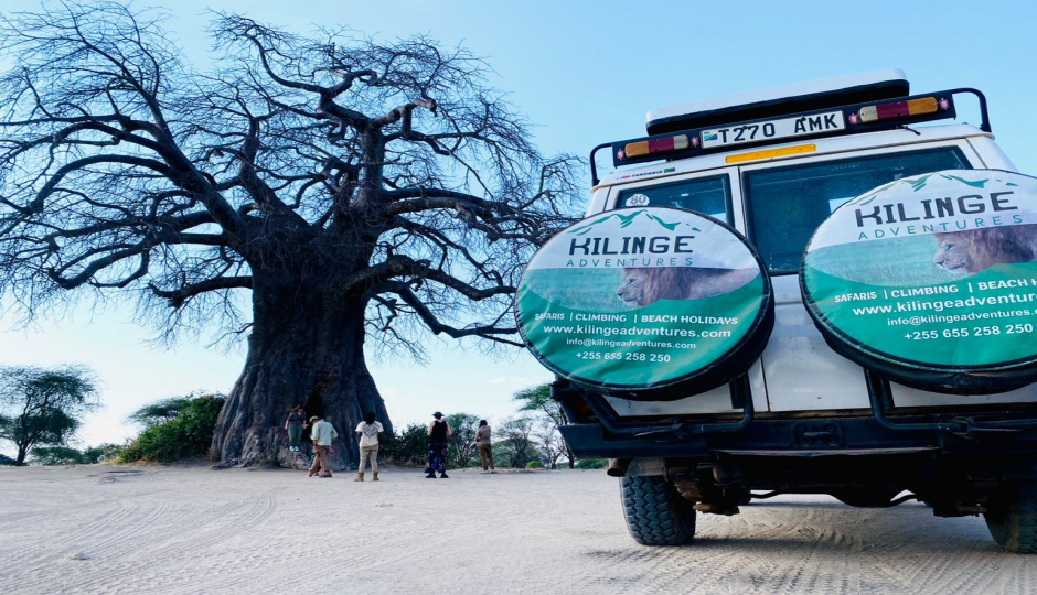 Slides Images for Best 2 Days Tanzania Sharing Safari