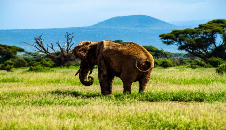 4 Days Tanzania Sharing Safari