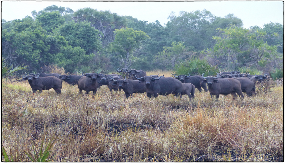 2 Days Tanzania Camping Safari