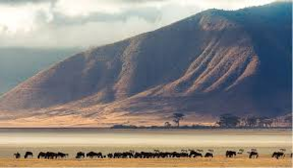 Slides Images for 3 Days Ngorongoro Crater Safari