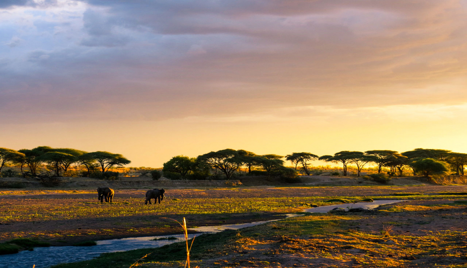 3 Days 2 Nights Southern Tanzania Safari