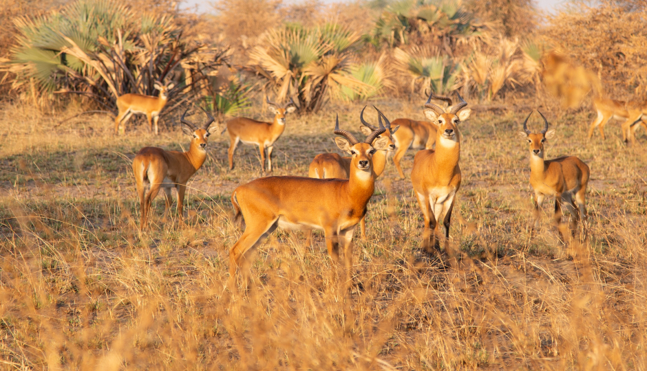 Slides Images for 1 Day Trip To Ngorongoro National 