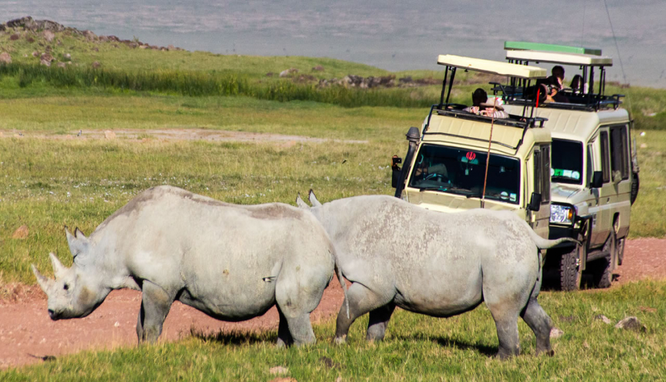 2-day Tanzania Greatest Safari 