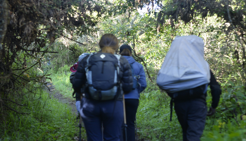 6day Kilimanjaro Hiking via Rongai Route