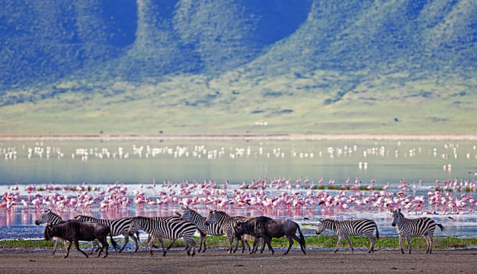 Best 1-day Safari To Ngorongoro Crater