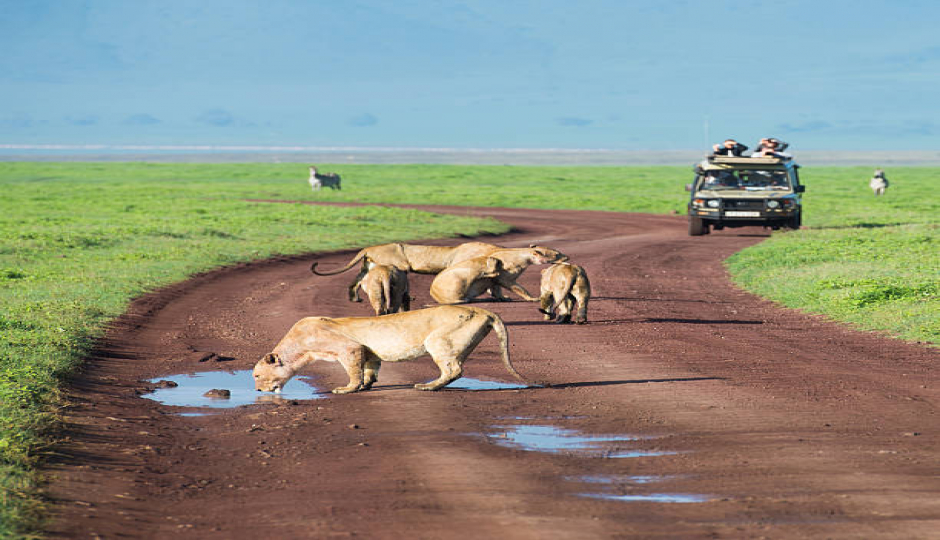 Slides Images for 2 Days Tarangire & Ngorongoro Adventure