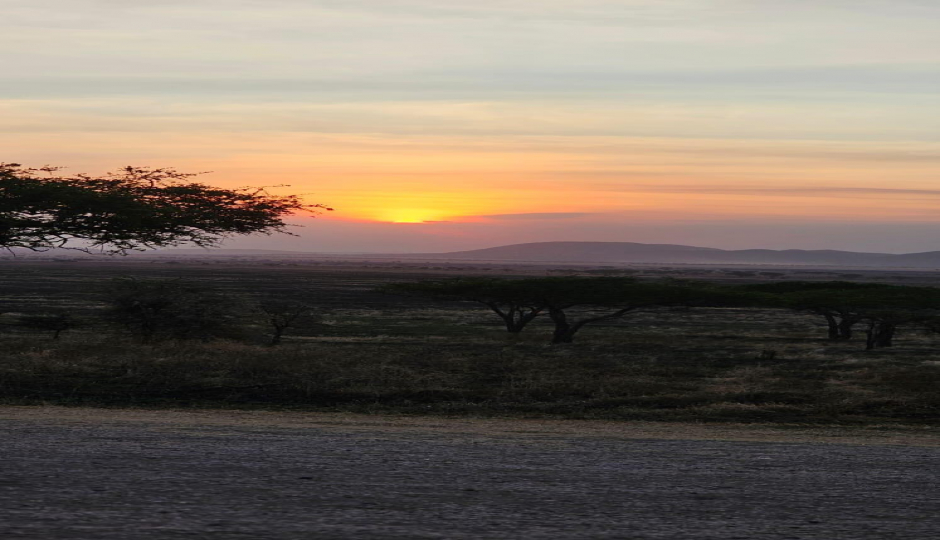 Slides Images for 3 Days From Zanzibar - Serengeti And Ngorongoro