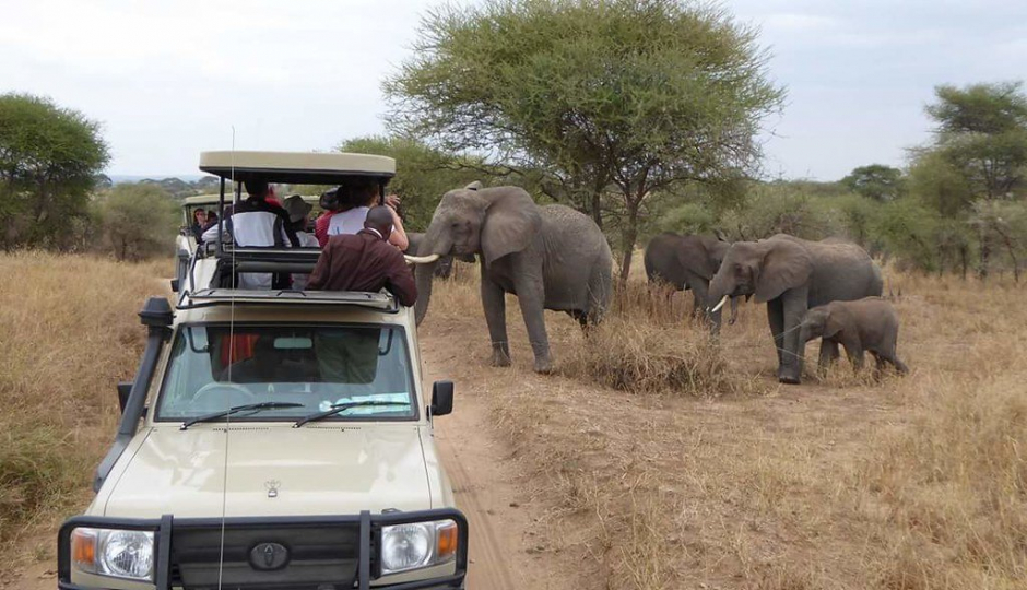 Slides Images for 2 Days Tanzania Private Safari Manyara 