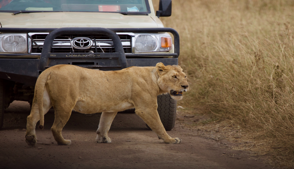 4 Days Tanzania Joining Safari 