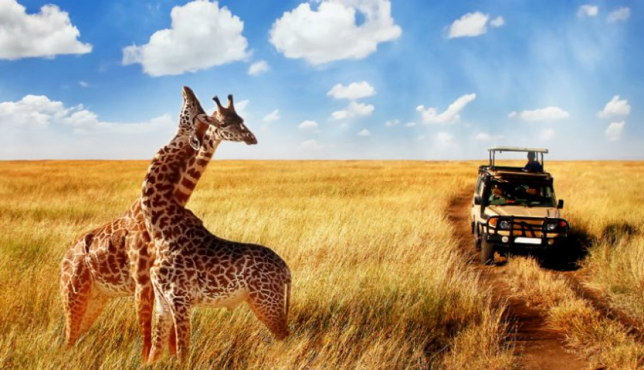 Slides Images for Tanzania Camping Safaris