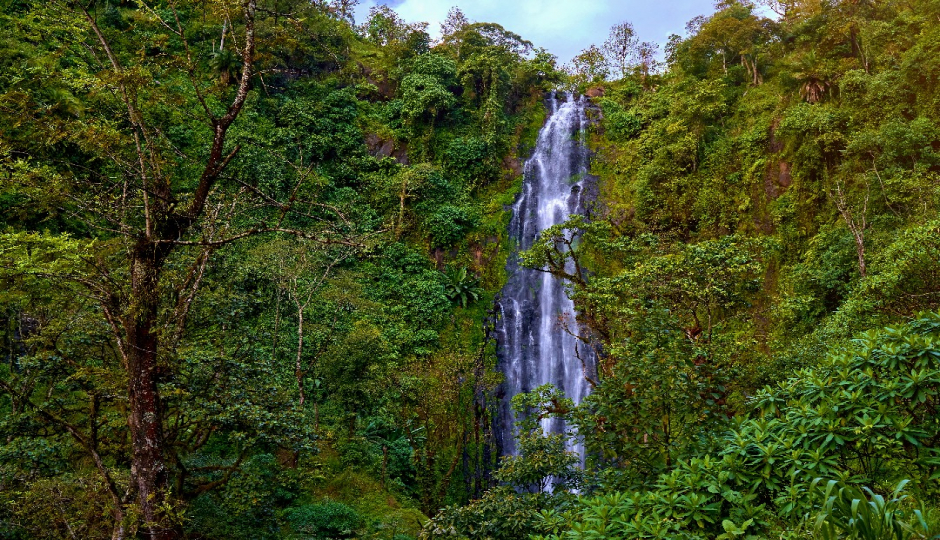 Day Trip To Materuni Waterfall