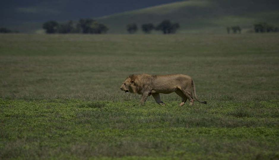Slides Images for The Best 3-day Tanzania Tours