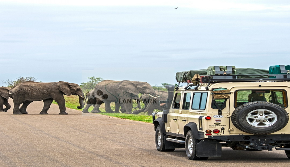 Slides Images for  Ngorongoro And Serengeti Camping Tour