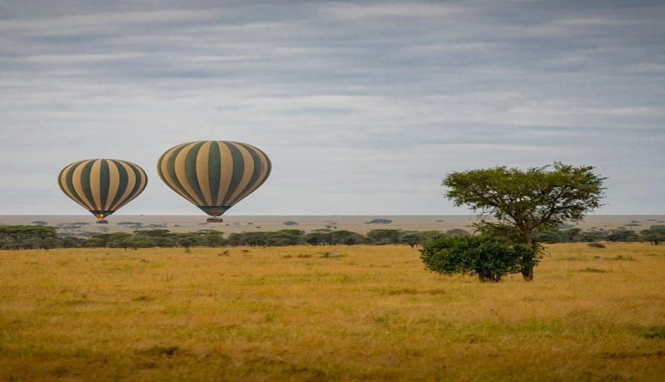 4 Days Tarangire , Serengeti & Ngorongoro Crater