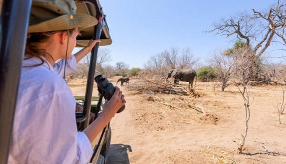 Best Ngorongoro Crater Safari Day Trip