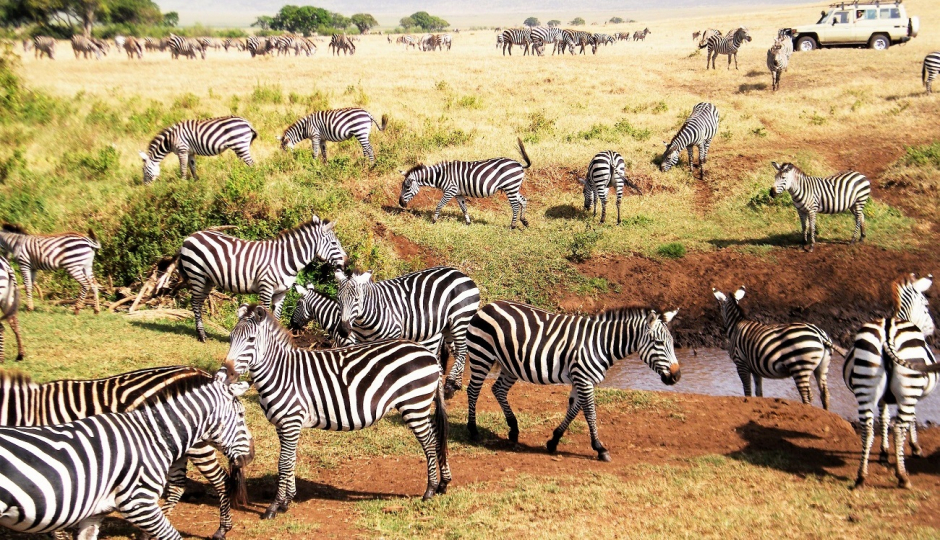 Slides Images for Tanzania Budget Mobile Camping Safari