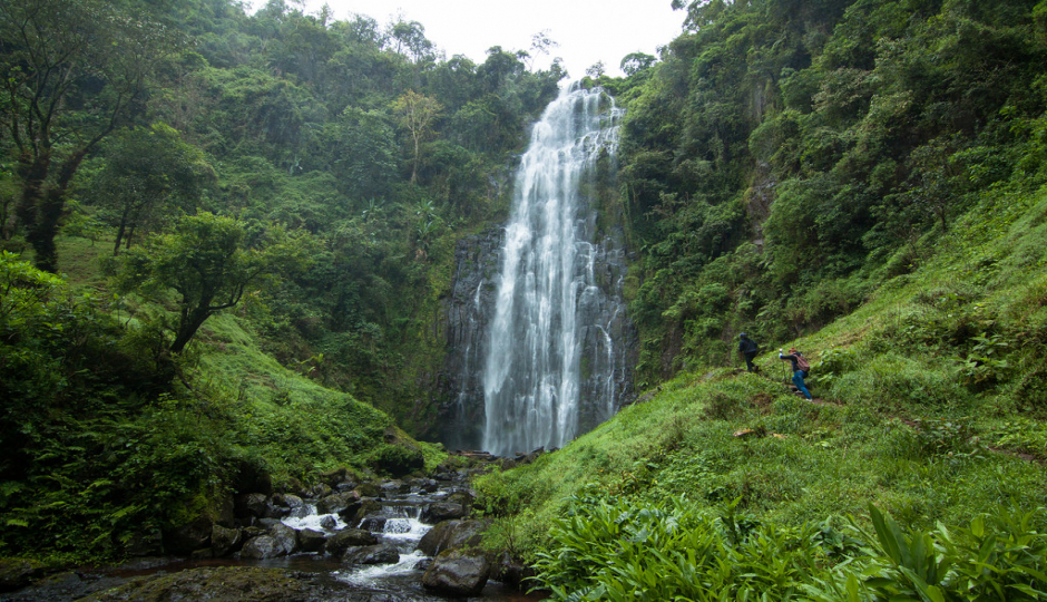 Slides Images for Come For Coffee & Materuni Waterfall Adventure