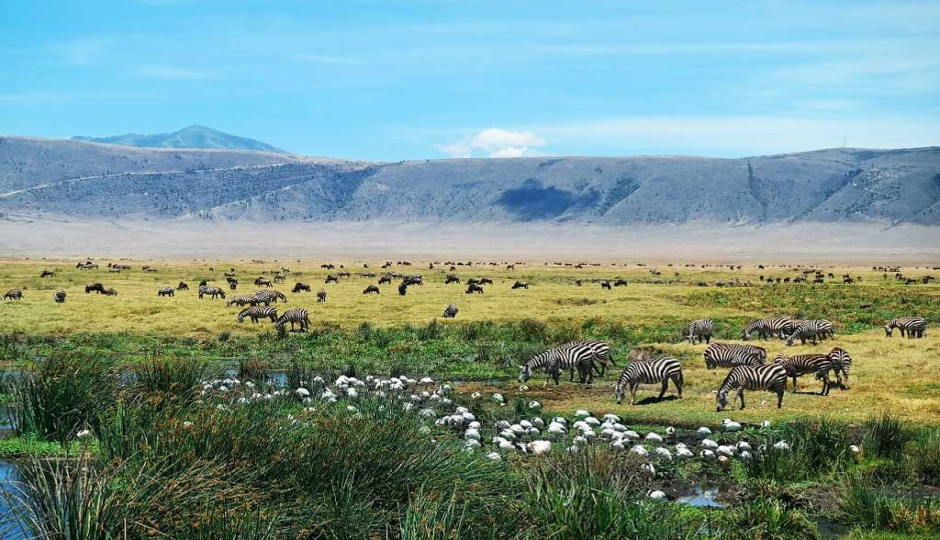 Slides Images for 2 Day Safari To Tarangire And Ngorongoro