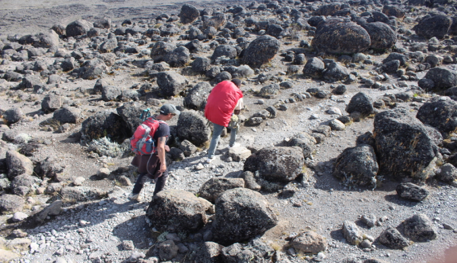 7 Days Lemosho Route Kilimanjaro Hiking