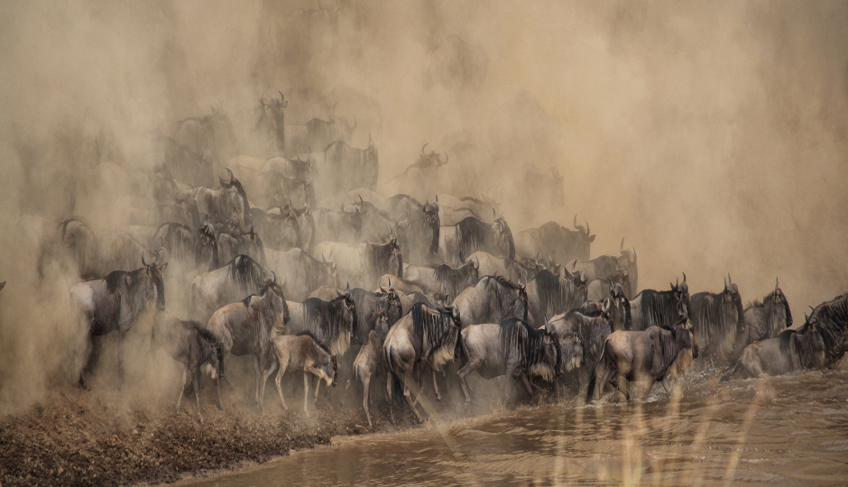 2 Days Tanzania Private Safari Manyara 