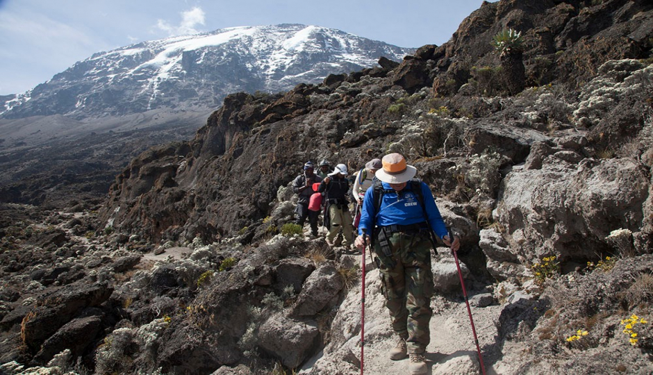 Unique 5 Days Kilimanjaro Climbing Via Marangu