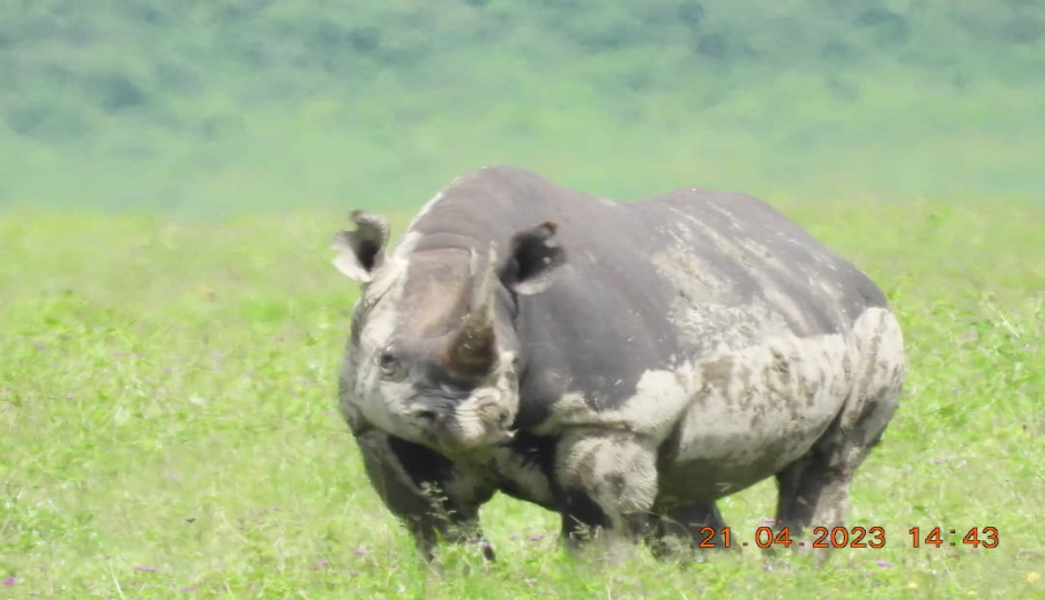 Slides Images for 4 Days Amazing Tanzania Safari