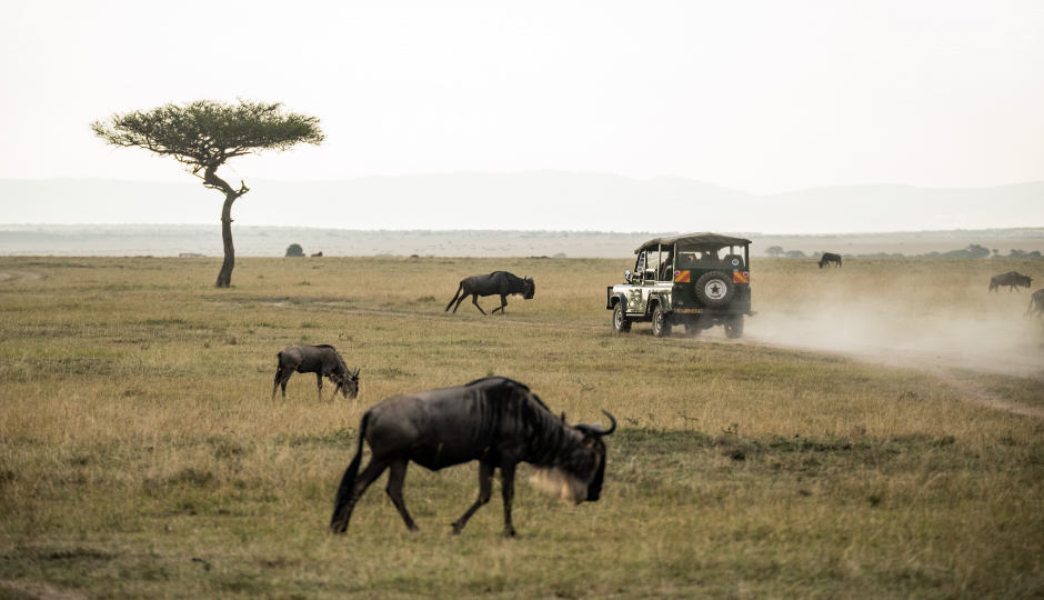 6 Days Of Great Wildebeest Migration