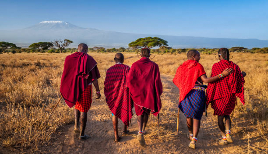 Slides Images for Best 1 Day Serengeti Safari