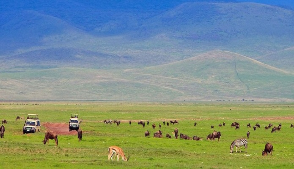 Manyara, Ngorongoro Crater, Serengeti. 