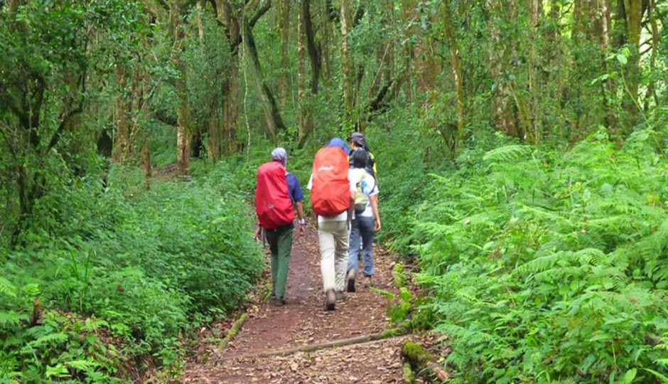 Kilimanjaro Marangu Route Trekking