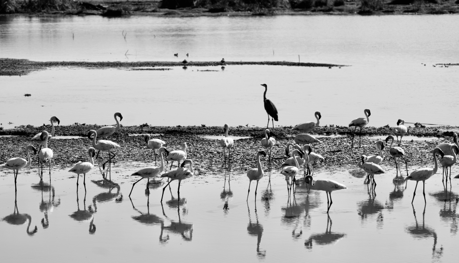 Slides Images for Day Trip - Lake Chala Tour 