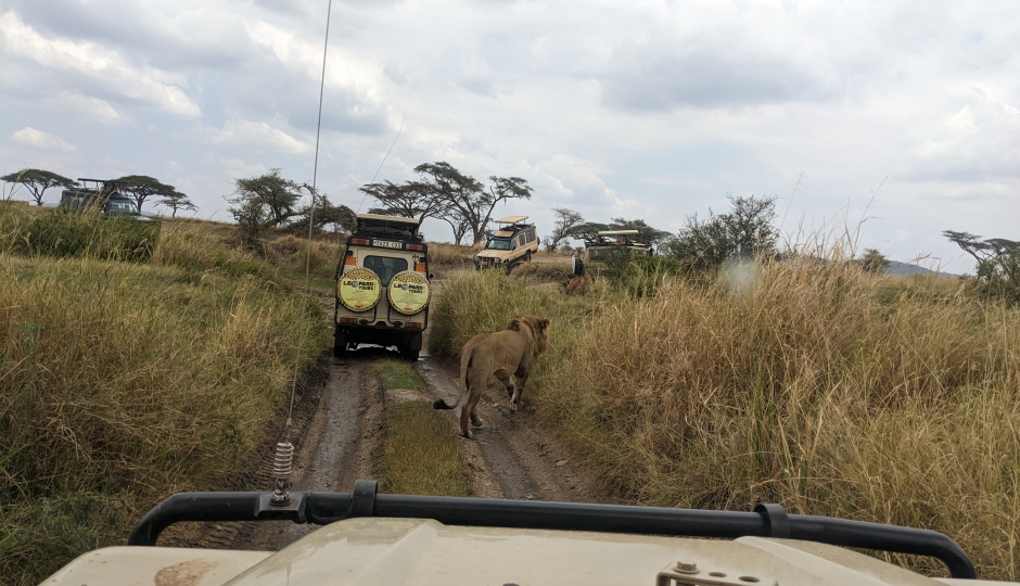 2 Night Serengeti And Ngorongoro Safari