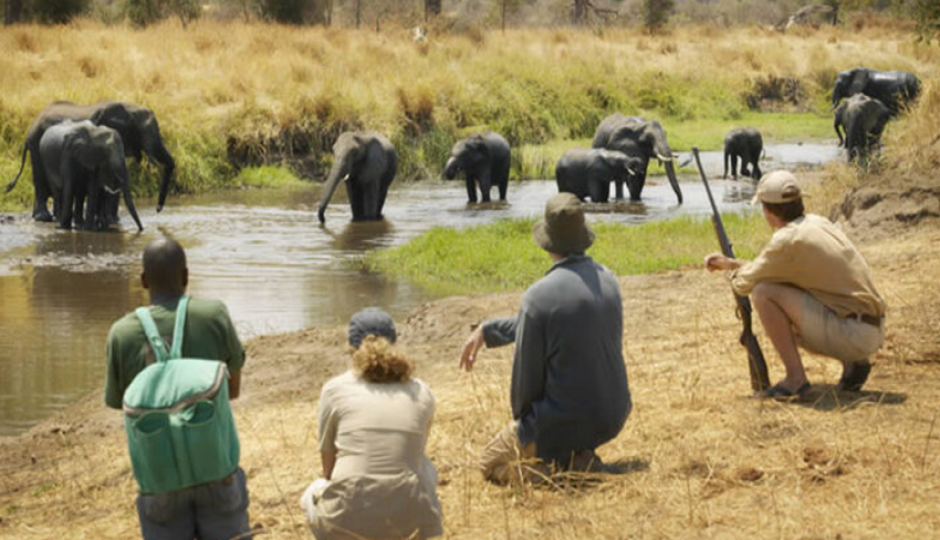 About 4 Days Sharing Tanzania Safari