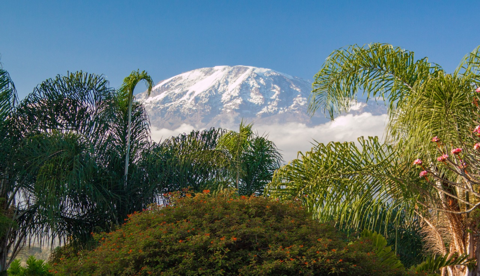 Mt.kilimanjaro Hiking Via Marangu Route