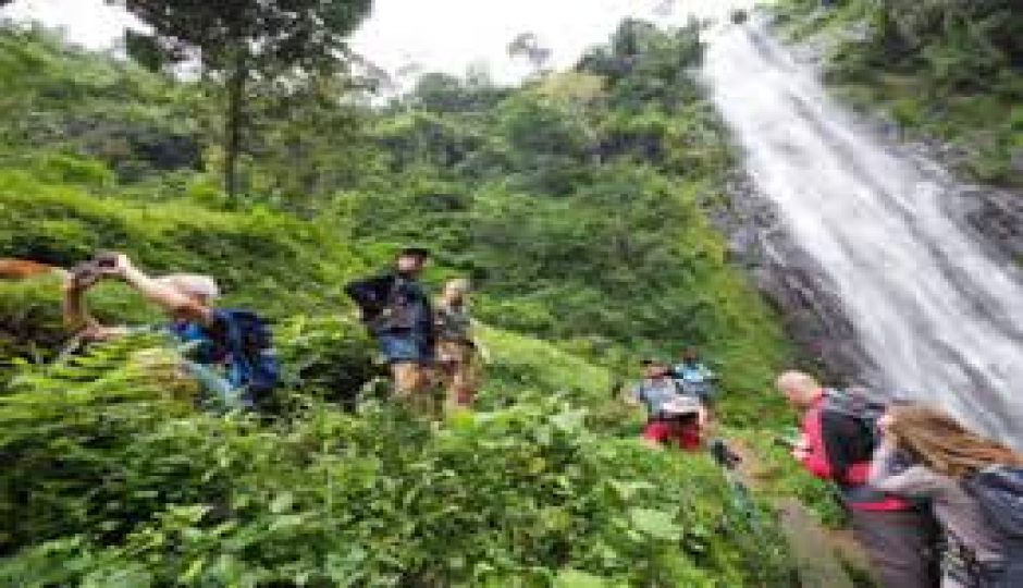 Slides Images for Come For Coffee & Materuni Waterfall Adventure