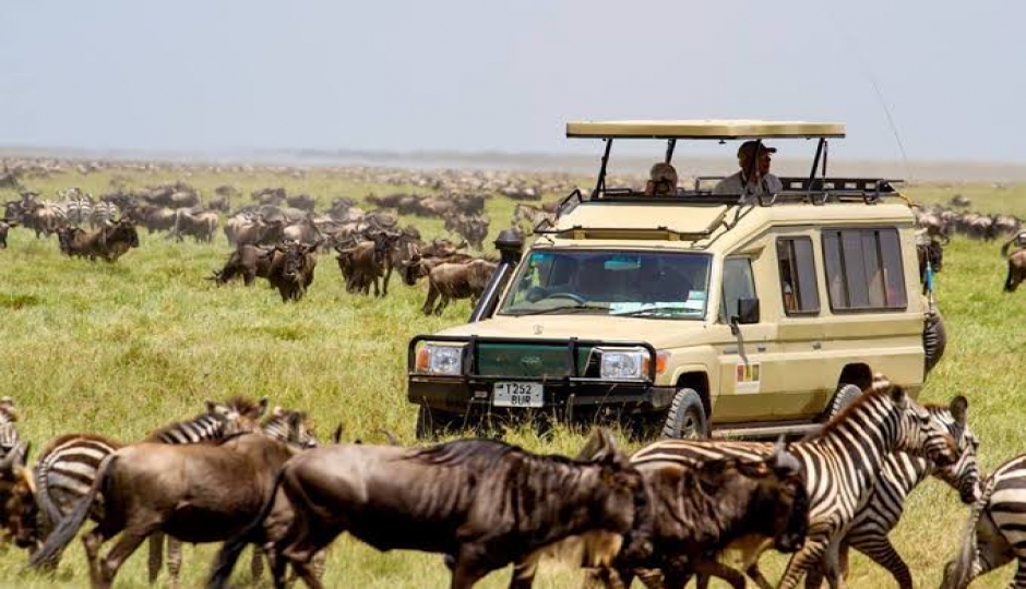 Slides Images for  Serengeti And Ngorongoro Safaris