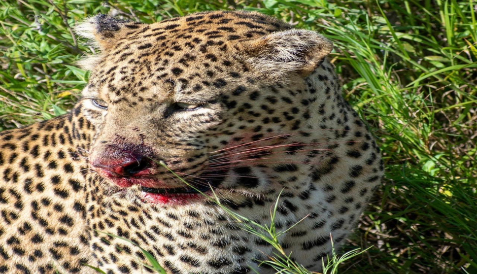 Slides Images for 4 Days Amazing Tanzania Safari