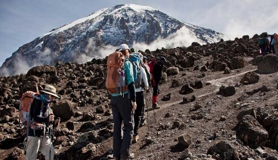  7 Days 6 Nights Machame Route