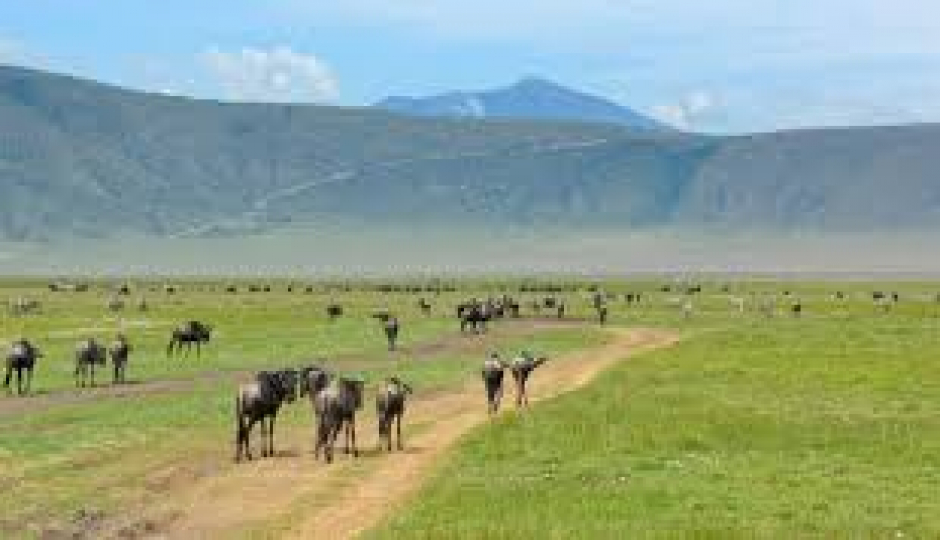 Slides Images for 2 Day Safari To Ngorongoro