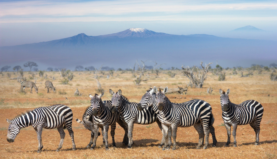 5 Days Serengeti Migration