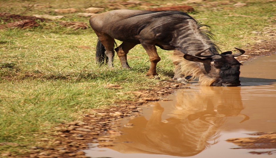 Slides Images for 4 Days Tanzania Mid-range Lodge Safari