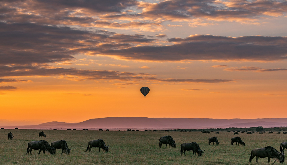 4 Day Tanzania Private Safari 2025