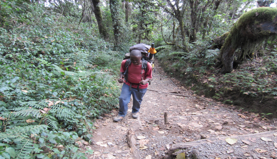 Slides Images for Explore The Base Of Mount Kilimanjaro
